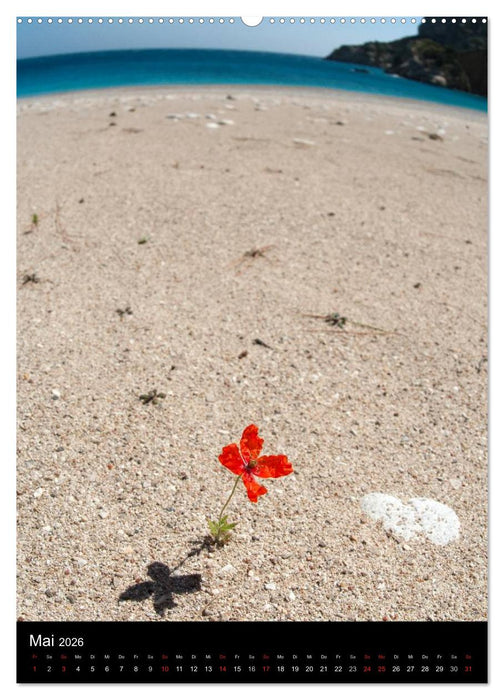 WILDBLUMEN (CALVENDO Wandkalender 2026)