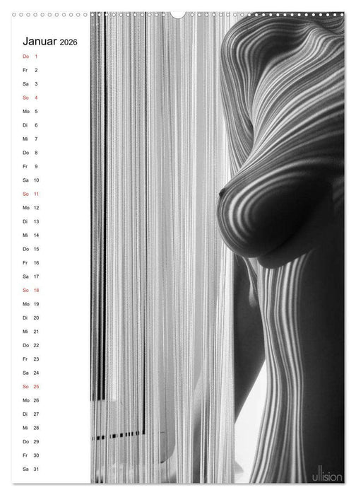 Akt abstrakt (CALVENDO Wandkalender 2026)