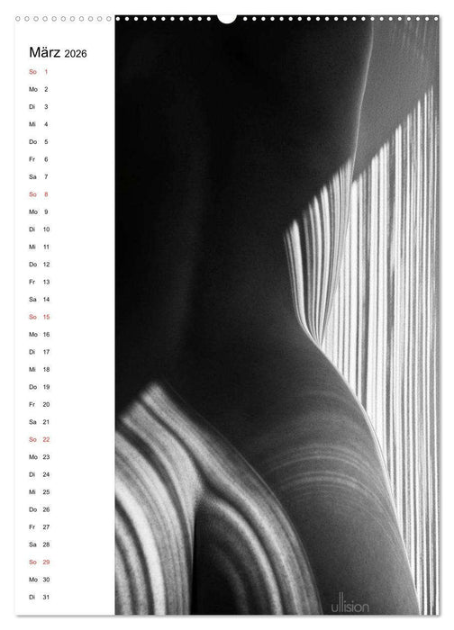 Akt abstrakt (CALVENDO Wandkalender 2026)