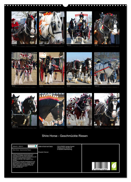 Shire Horse - Geschmückte Riesen (CALVENDO Premium Wandkalender 2026)