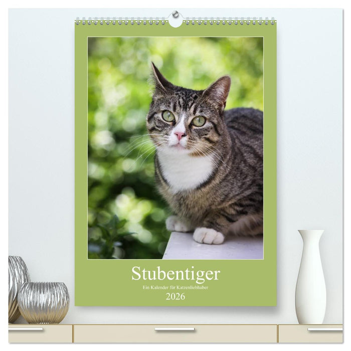 Stubentiger (CALVENDO Premium Wandkalender 2026)