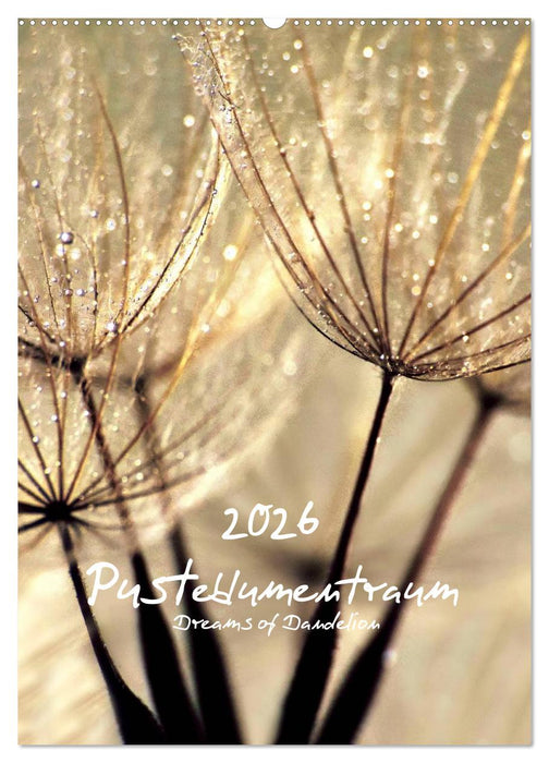 Pusteblumentraum - Dreams of Dandelion (CALVENDO Wandkalender 2026)