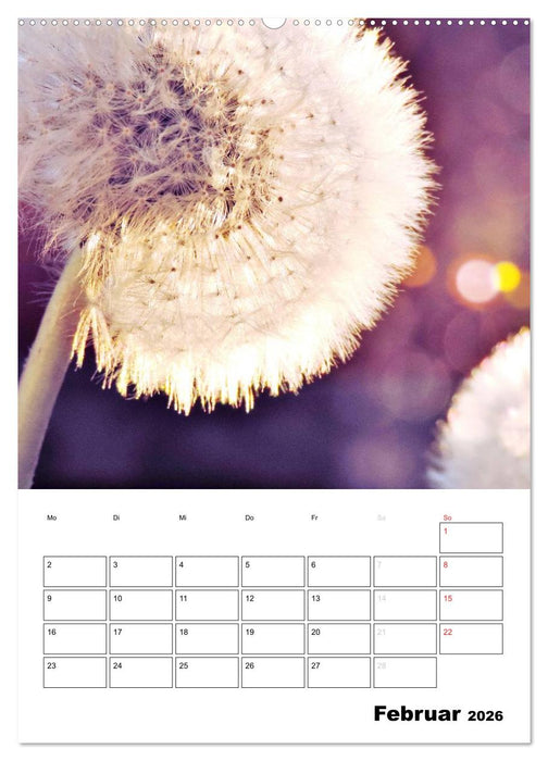 Pusteblumentraum - Dreams of Dandelion (CALVENDO Wandkalender 2026)