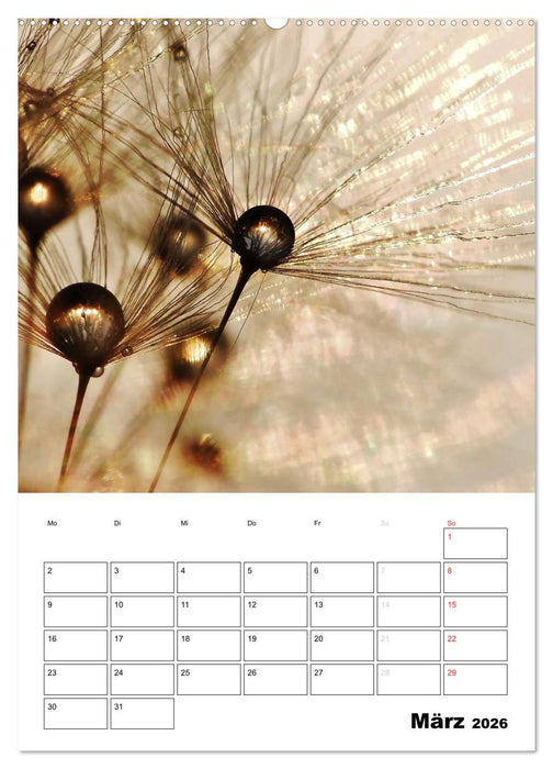 Pusteblumentraum - Dreams of Dandelion (CALVENDO Wandkalender 2026)