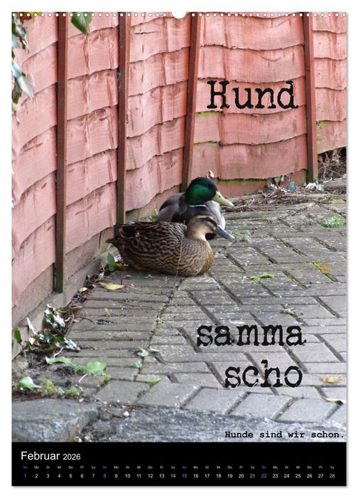 Baierische Lebensweisheiten mit Untertitel (CALVENDO Wandkalender 2026)