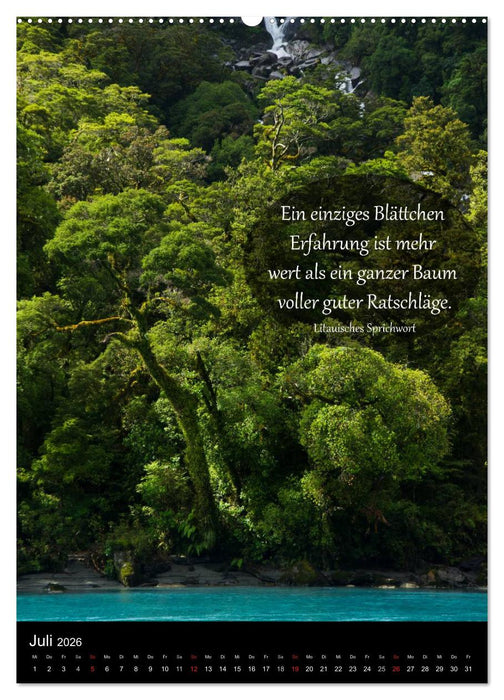 Neuseeland - Ein Land steht Kopf (CALVENDO Premium Wandkalender 2026)