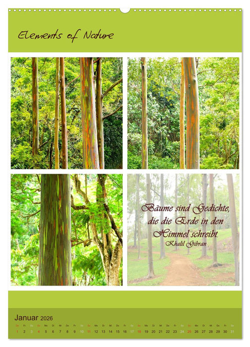 Elements of Nature (CALVENDO Premium Wandkalender 2026)