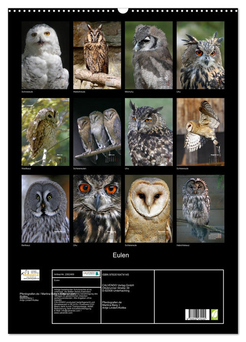 Eulen (CALVENDO Wandkalender 2026)
