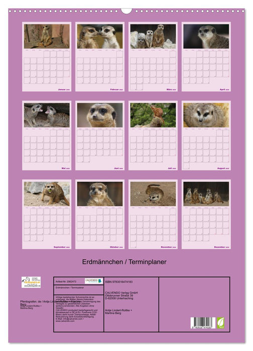 Erdmännchen / Terminplaner (CALVENDO Wandkalender 2026)
