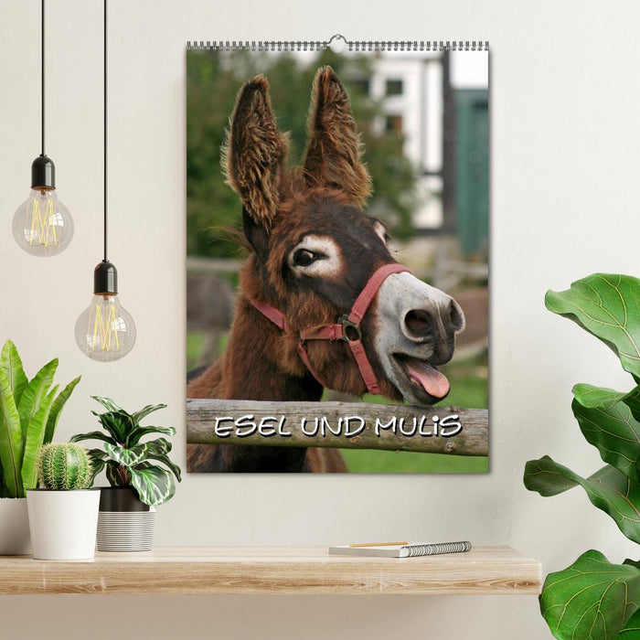 Esel und Mulis (CALVENDO Wandkalender 2026)
