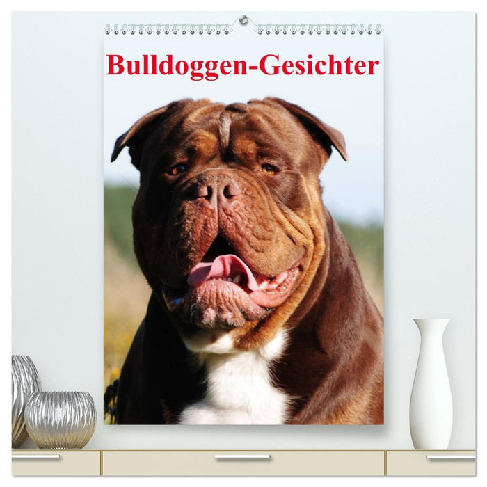 Bulldoggen-Gesichter (CALVENDO Premium Wandkalender 2026)