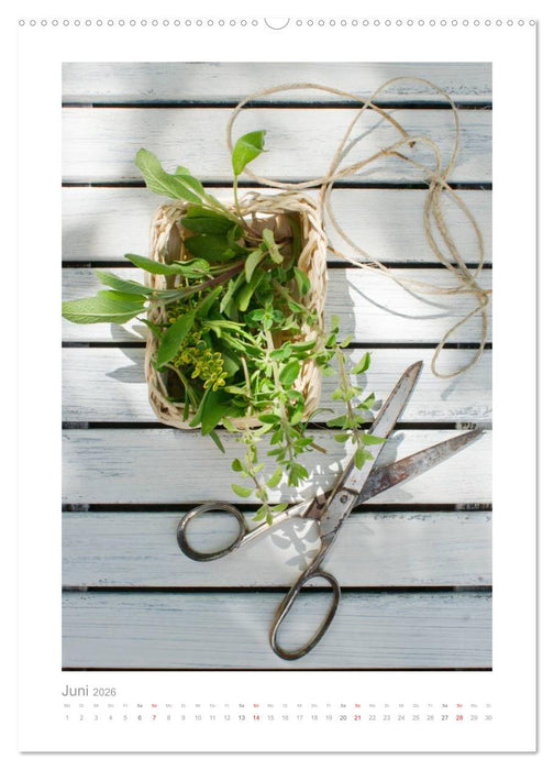 Frische Küche (CALVENDO Premium Wandkalender 2026)