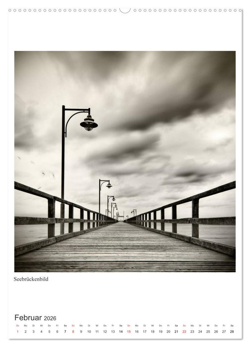 Rügen 2026... Bilder einer Insel (CALVENDO Premium Wandkalender 2026)