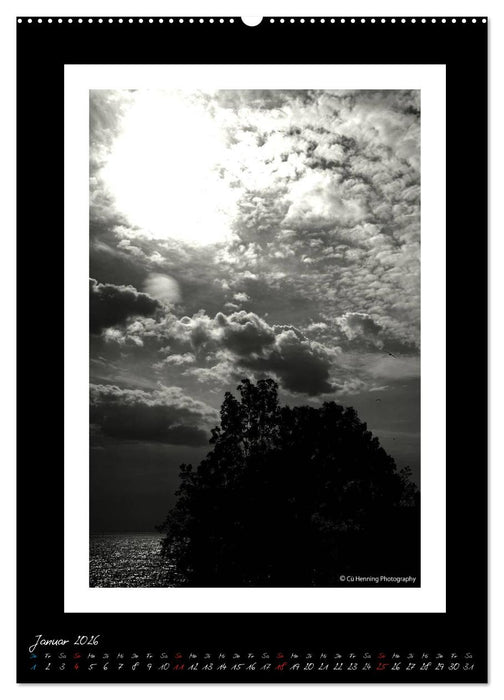 Lichtermeer (CALVENDO Premium Wandkalender 2026)