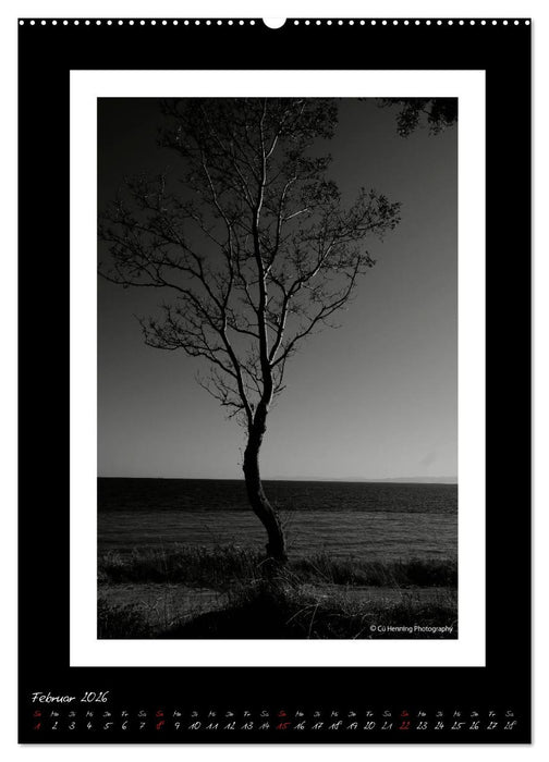 Lichtermeer (CALVENDO Premium Wandkalender 2026)