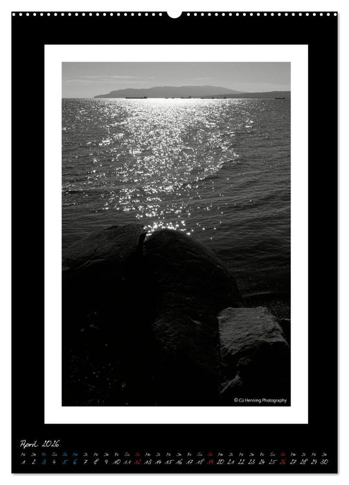 Lichtermeer (CALVENDO Premium Wandkalender 2026)