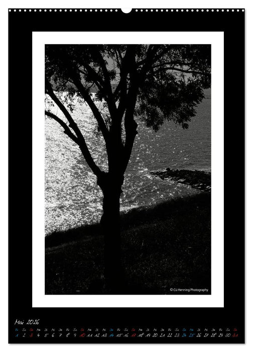 Lichtermeer (CALVENDO Premium Wandkalender 2026)