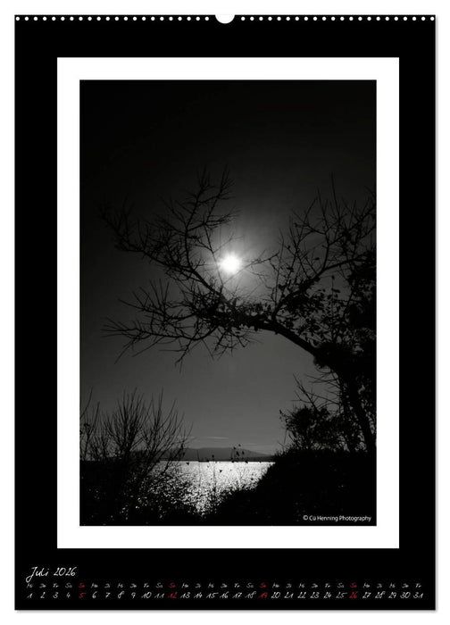 Lichtermeer (CALVENDO Premium Wandkalender 2026)