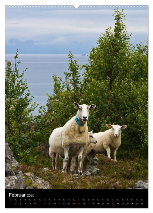 Norwegen (CALVENDO Wandkalender 2026)