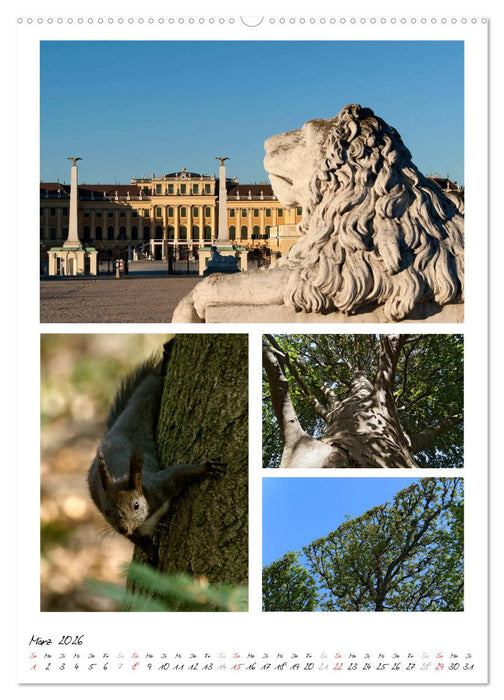 Schloss Schönbrunn im Wandel der Jahreszeiten (CALVENDO Premium Wandkalender 2026)