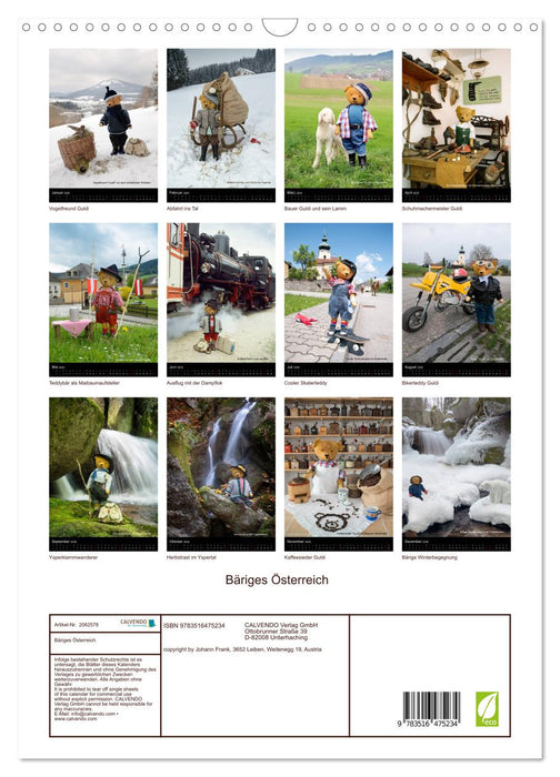 Bäriges Österreich (CALVENDO Wandkalender 2026)