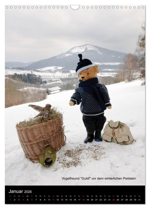Bäriges Österreich (CALVENDO Wandkalender 2026)