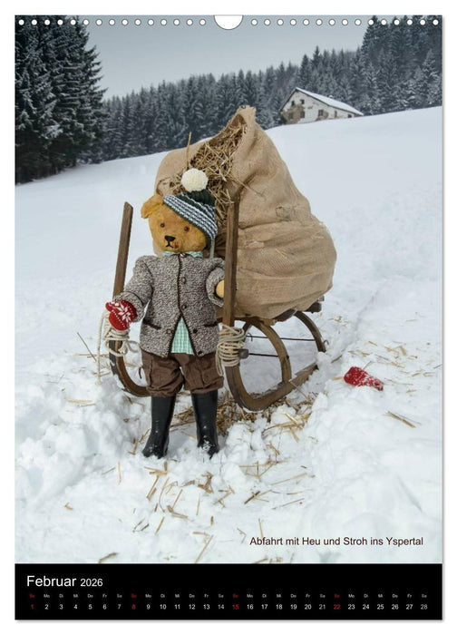 Bäriges Österreich (CALVENDO Wandkalender 2026)