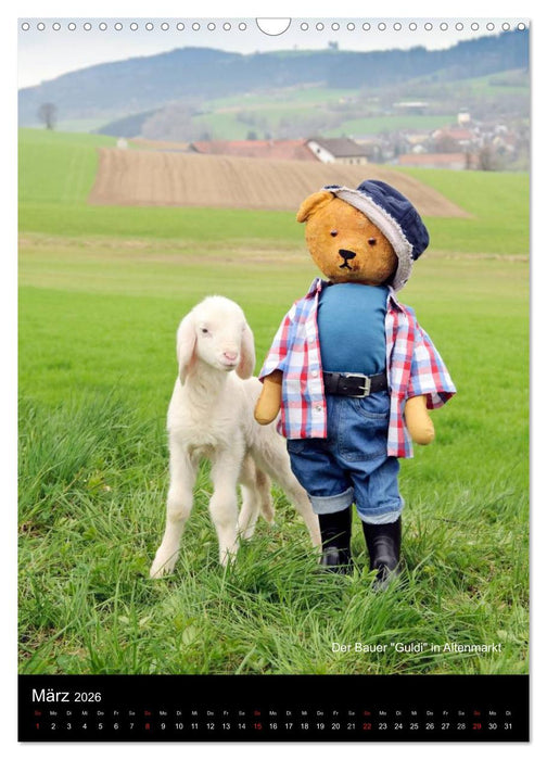 Bäriges Österreich (CALVENDO Wandkalender 2026)