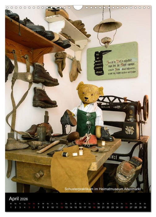 Bäriges Österreich (CALVENDO Wandkalender 2026)