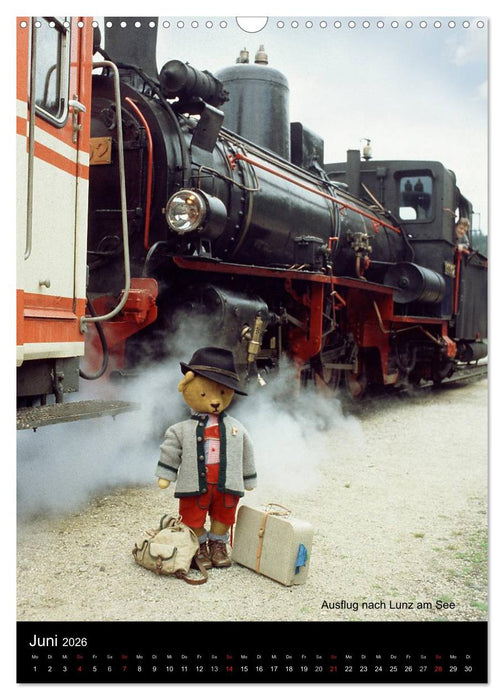 Bäriges Österreich (CALVENDO Wandkalender 2026)