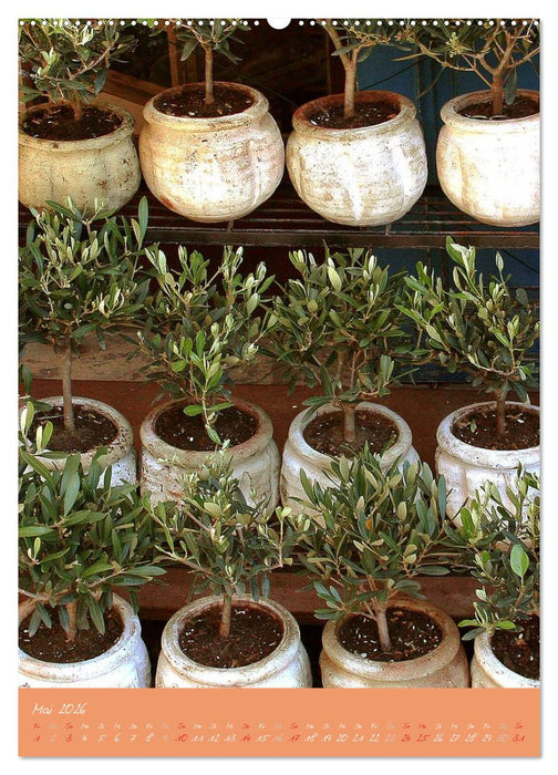 Provence Idyllen (CALVENDO Premium Wandkalender 2026)