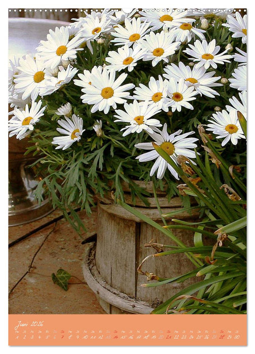 Provence Idyllen (CALVENDO Premium Wandkalender 2026)