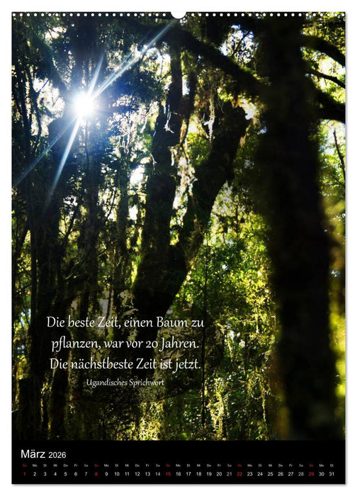 Neuseeland - Ein Land steht Kopf (CALVENDO Wandkalender 2026)