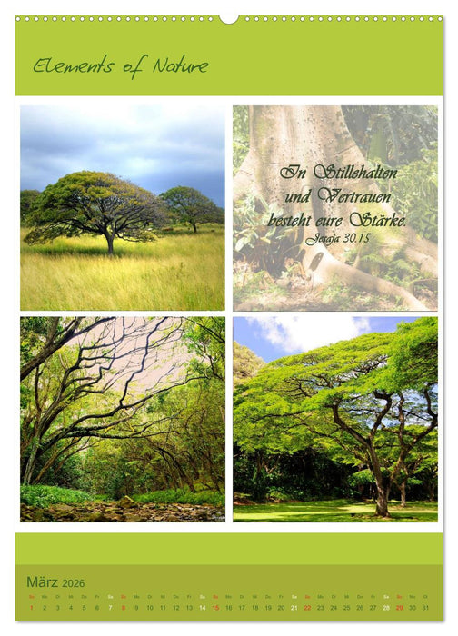 Elements of Nature (CALVENDO Wandkalender 2026)