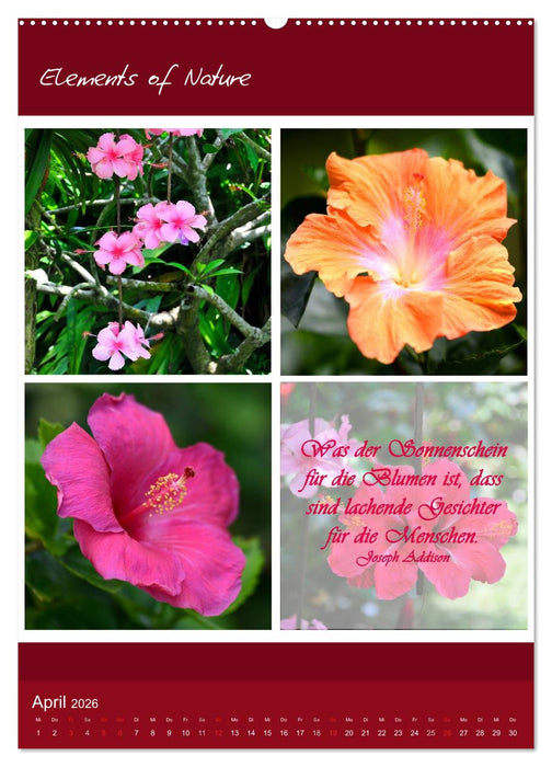 Elements of Nature (CALVENDO Wandkalender 2026)