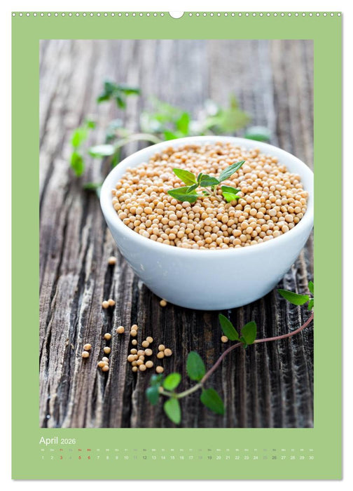 Kräuter, Gewürze und Öl (CALVENDO Premium Wandkalender 2026)