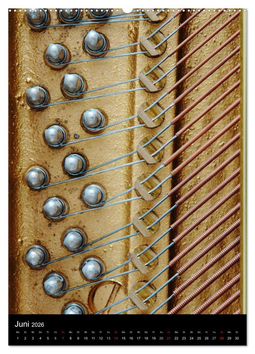 Musik (CALVENDO Premium Wandkalender 2026)