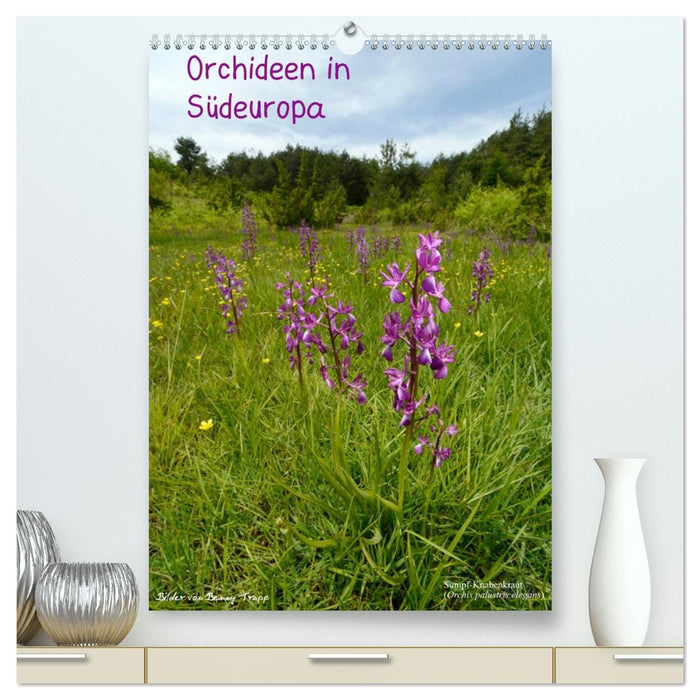 Orchideen in Südeuropa (CALVENDO Premium Wandkalender 2026)
