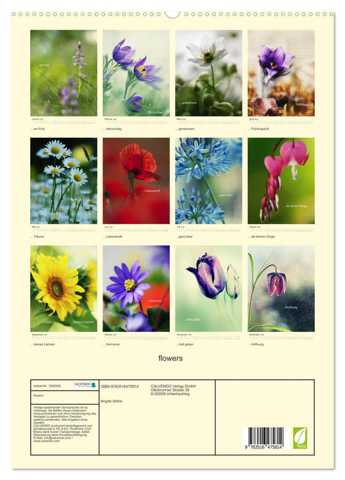flowers (CALVENDO Premium Wandkalender 2026)