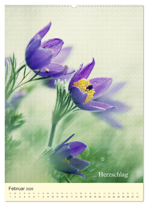 flowers (CALVENDO Premium Wandkalender 2026)