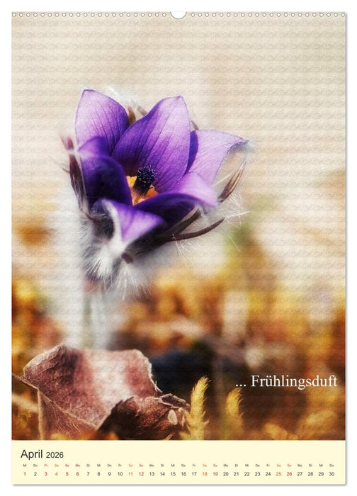 flowers (CALVENDO Premium Wandkalender 2026)