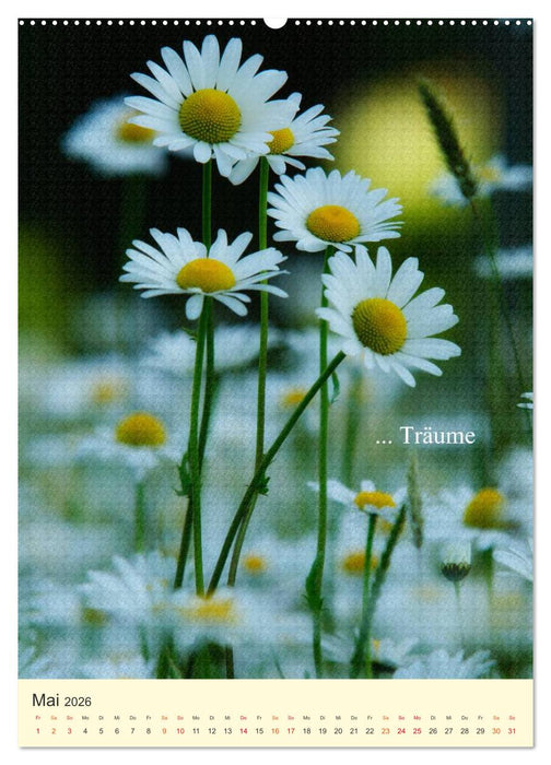 flowers (CALVENDO Premium Wandkalender 2026)