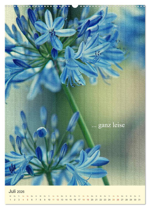 flowers (CALVENDO Premium Wandkalender 2026)