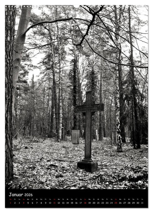 Versunkene Welten - Alte Friedhöfe in Deutschland (CALVENDO Premium Wandkalender 2026)