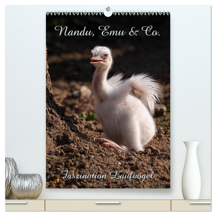 Nandu, Emu & Co. (CALVENDO Premium Wandkalender 2026)
