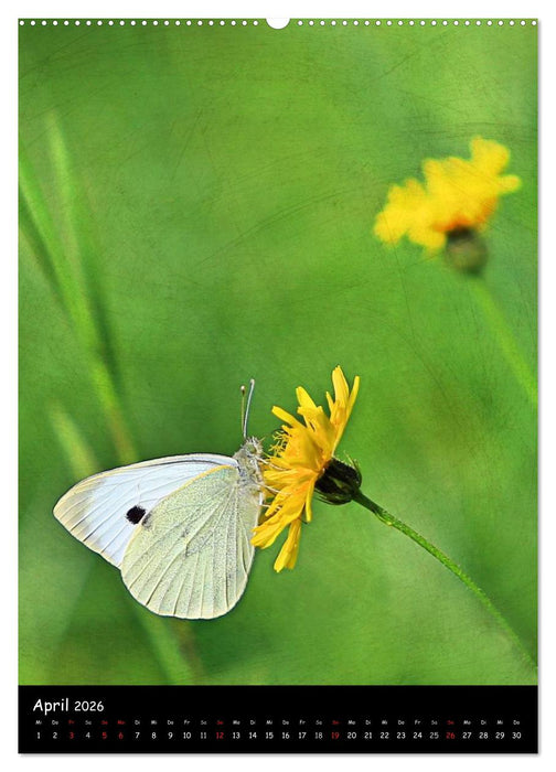 NATUR PUR Blütenträume (CALVENDO Premium Wandkalender 2026)