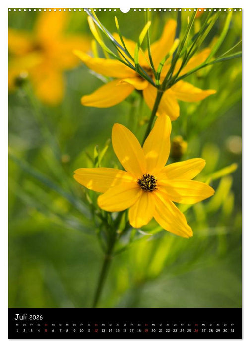 NATUR PUR Blütenträume (CALVENDO Premium Wandkalender 2026)