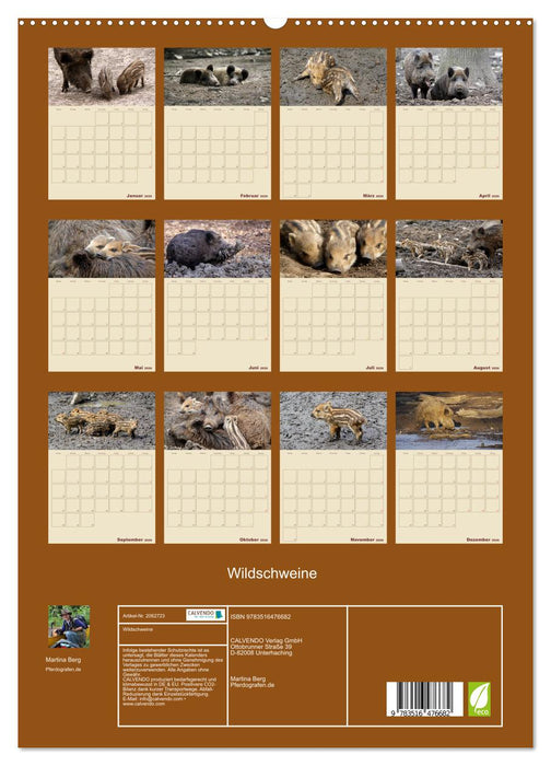Wildschweine (CALVENDO Premium Wandkalender 2026)