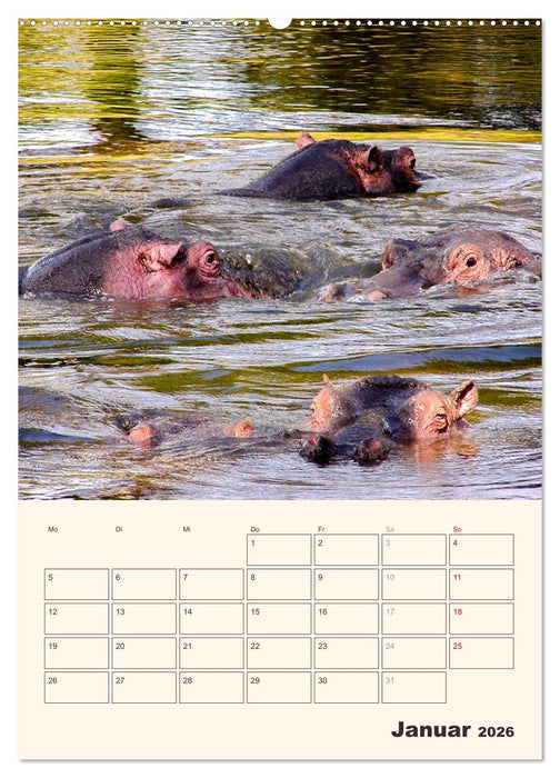 Kenia – Terminplaner (CALVENDO Premium Wandkalender 2026)