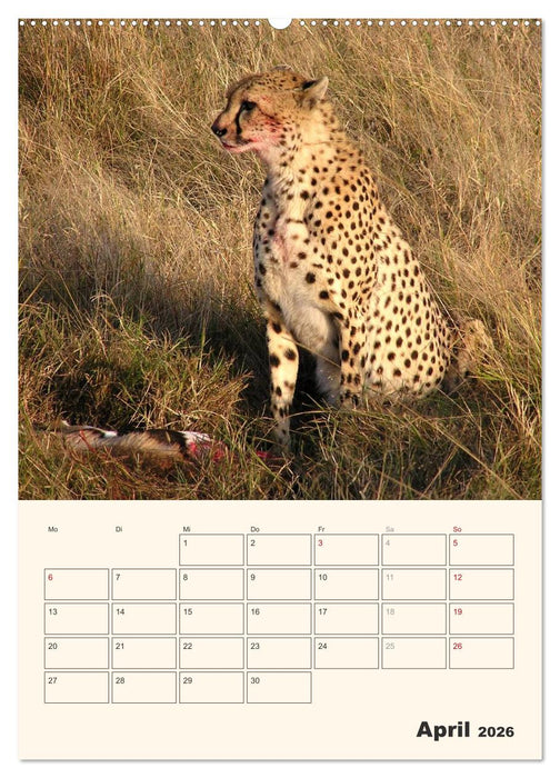 Kenia – Terminplaner (CALVENDO Premium Wandkalender 2026)